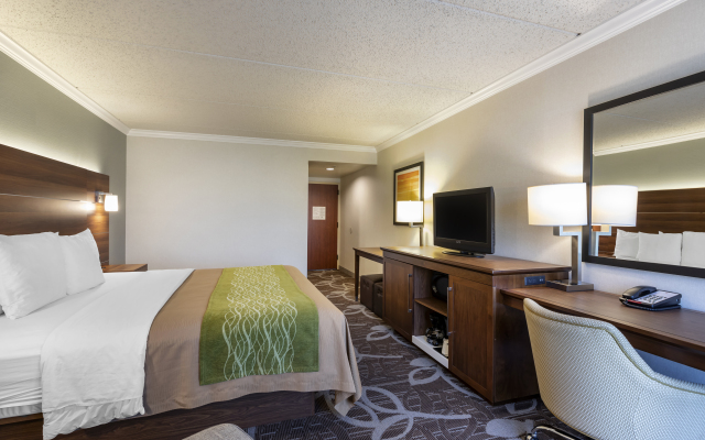 Comfort Inn Anaheim Resort