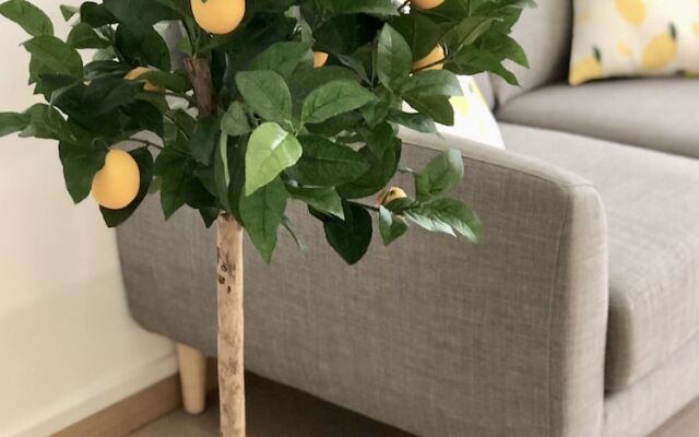 Yellow Lemon Tree - Appartement Centre Gares