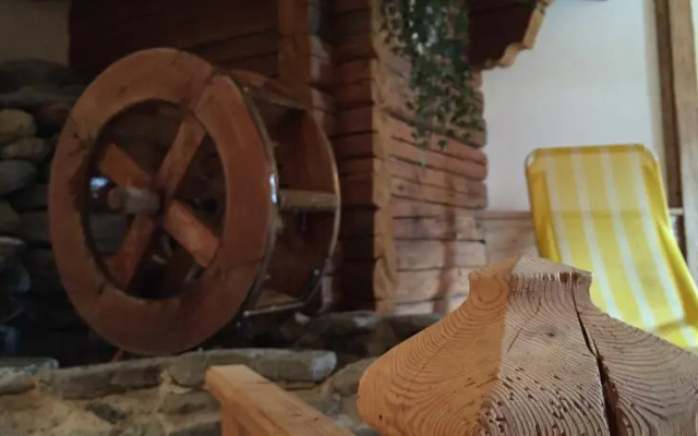 Aktivwellnessappartements Margit & Alpbach Juwel