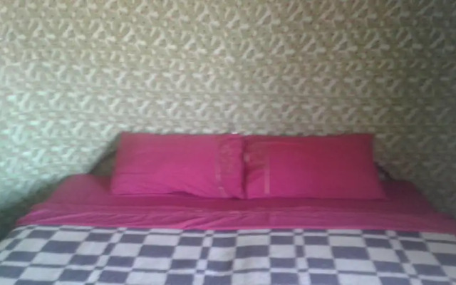 Locals Under Stars Trips