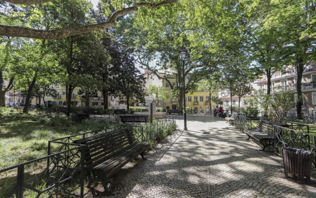 São Bento Classic by Homing