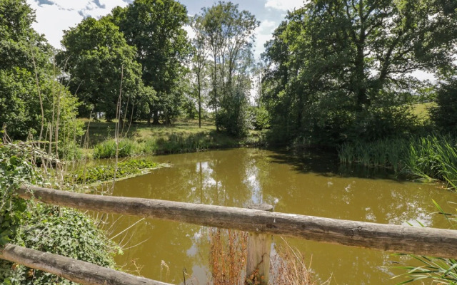 Pond View