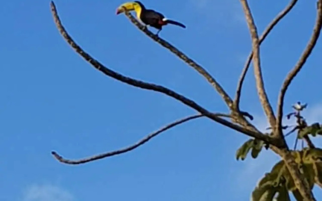 Mayan World Adventures