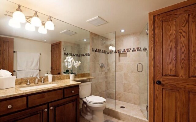 Snowmass Village 2 Bedroom Platinum-rated Ski In, Ski Out Condo