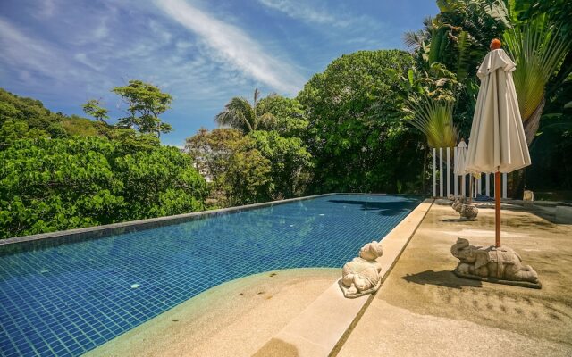 The Palm at Veloche by Lofty
