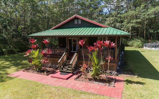 The Coqui Shack 2 Bedroom Cabin by Redawning