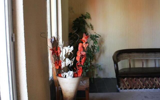 Hostal Galería Café