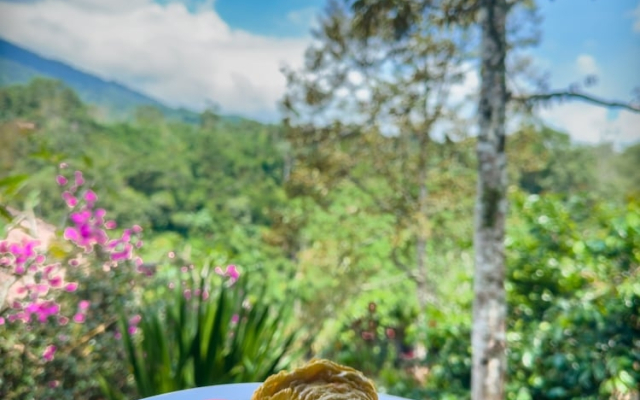 Mulia Bali Garden Bungalow