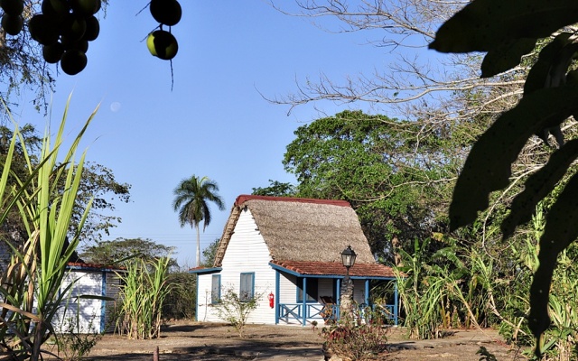 Horizontes Batey Don Pedro