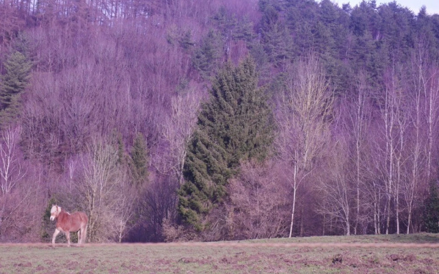 Snug Holiday Home In Aywaille With Sauna, Hot Tub, Netflix