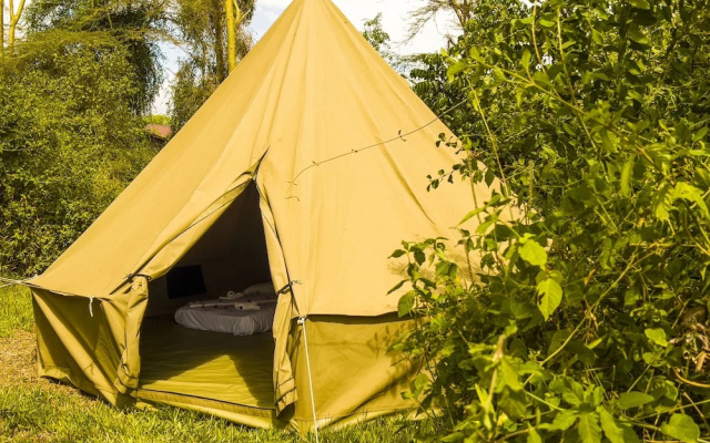 Jungle Pearl Resort