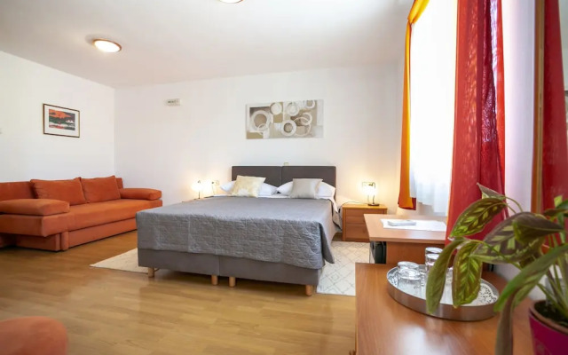 Pansion Comfort Exclusive