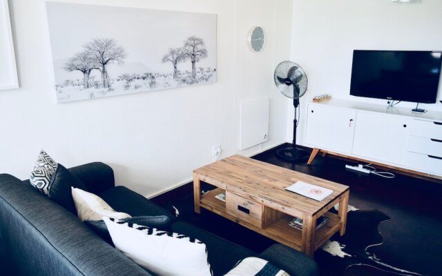 1 Bedroom Apartment In Cape Town City Centre