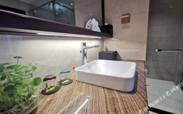 Suiton Plus By Paxton Linzhi