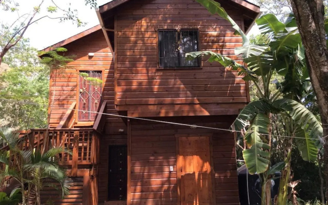 Tortuga Bahia Lower Unit