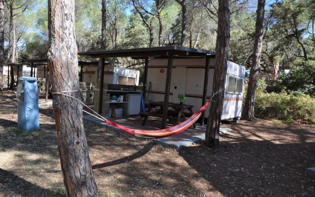 Camping Golfo dellAsinara