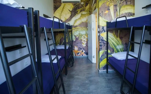 Jungle Jaffa Hostel Age 18 to 45