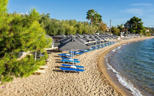 Paradisos Holiday