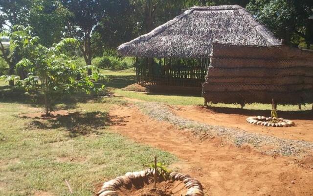 Yala Eco Tree House