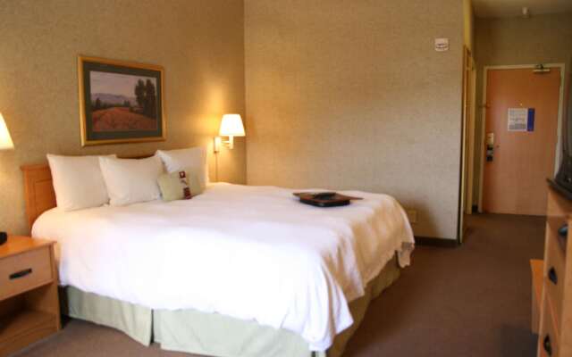 Hampton Inn & Suites Kalamazoo - Oshtemo