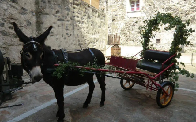 Le Moulin de Sournia