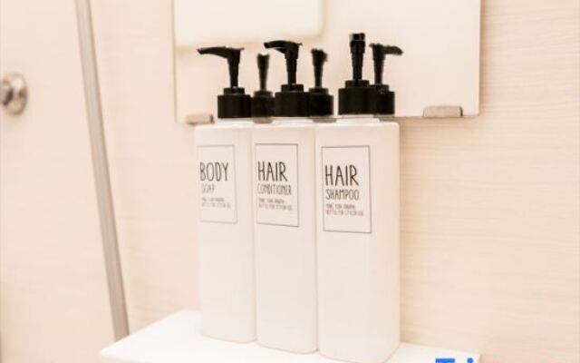 Tokyo Dome City Amusement Park Homestay