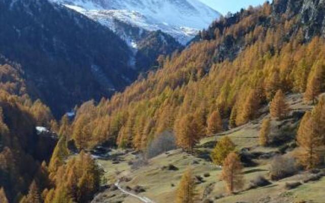 Zermatt Panoramic View Flat