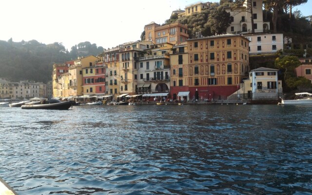 Beautiful View 56