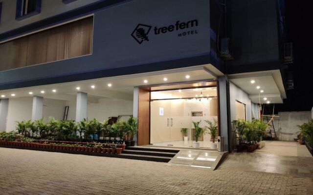 Hotel Tree Fern