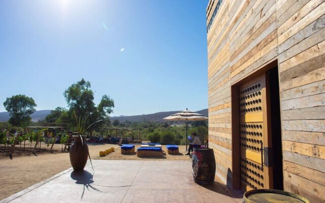 Casa Frida Valle De Guadalupe