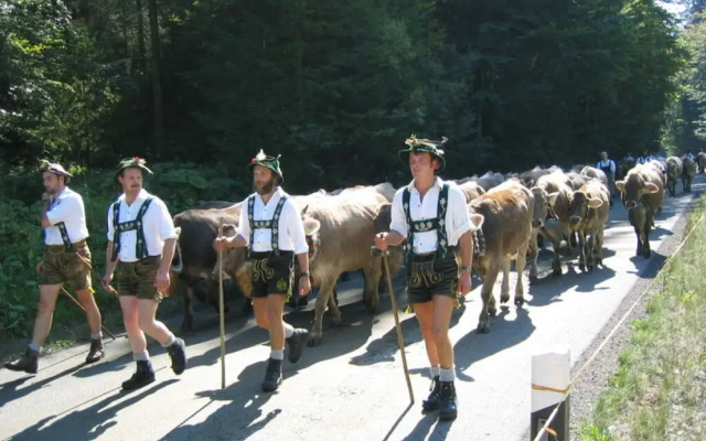 Alpenrosle Comfortable Holiday Residence