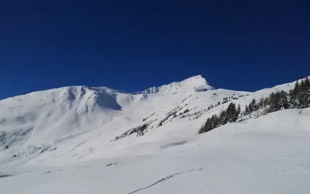 Garconniere in the Alps of Tyrol