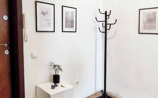 Солнечный эвкалипт на улице Крылова