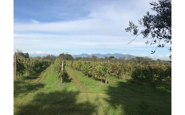Beautiful Apartment in Tuscany