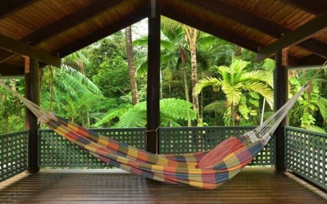 Wait A While Daintree