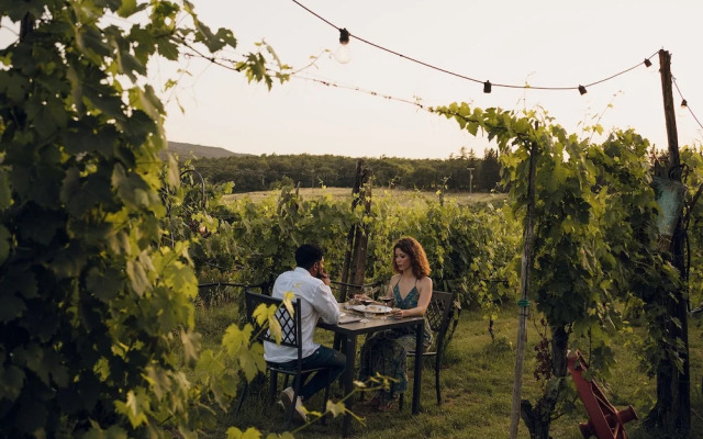 Hotel Ristorante La Dama nella Vigna