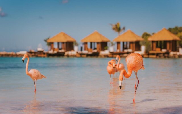 Renaissance Wind Creek Aruba Resort