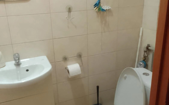 Смарт-студия на Гагарина возле Бот сада