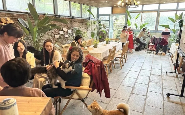 The Cosy Garden
