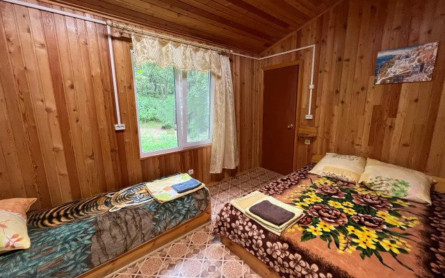 Камень Льва