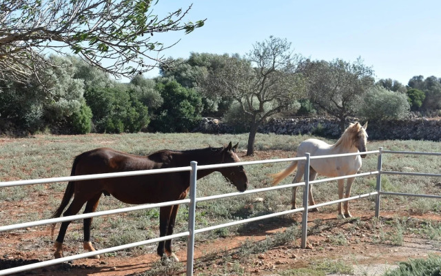 Son Gener - Villa With Private Pool
