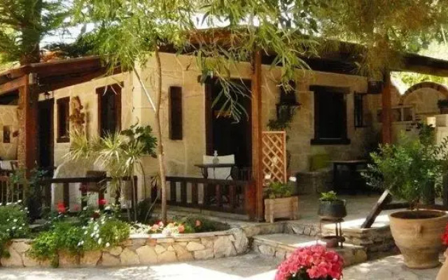Stella's & George's Traditional Studios