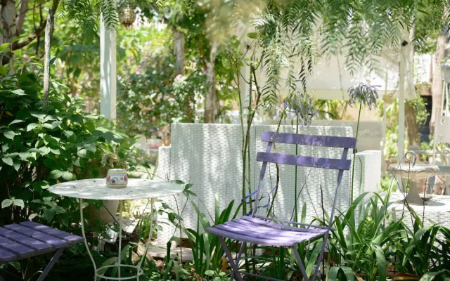 Giardino Segreto - Via Foria 216 Ammezzato