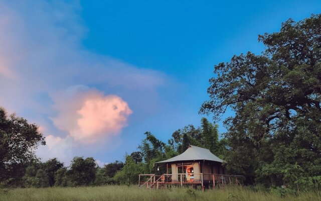 The Untamed Bandhavgarh by TUTC