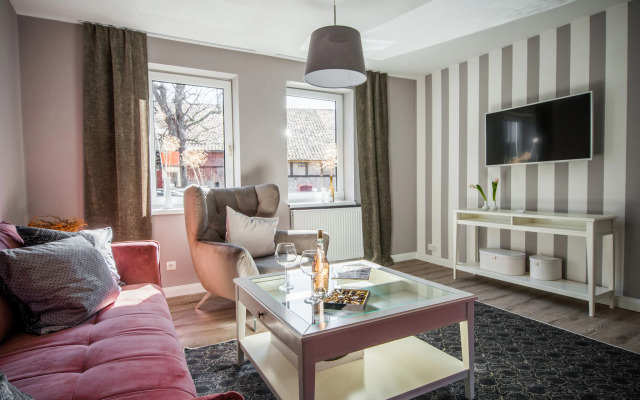 Apartment in Harz With Terrace and Fireplace