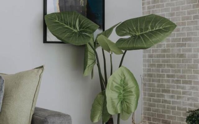 The Living Collective Villa