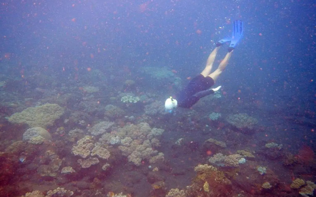 Cape Gulah Bali