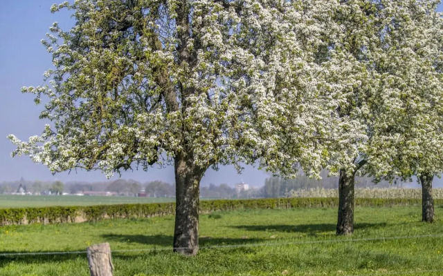 Bungalowpark Landsrade Gulpen