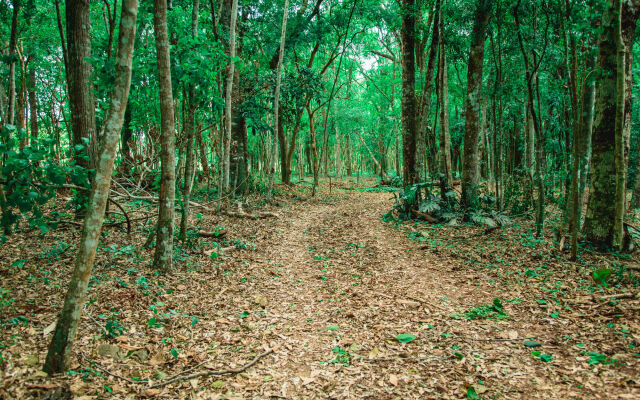 Canzi Cataratas Hotel