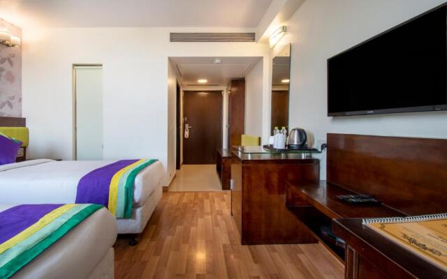 Treebo Premium Rose Mallow